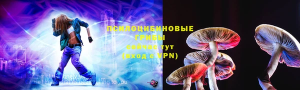 ПСИЛОЦИБИНОВЫЕ ГРИБЫ Абдулино