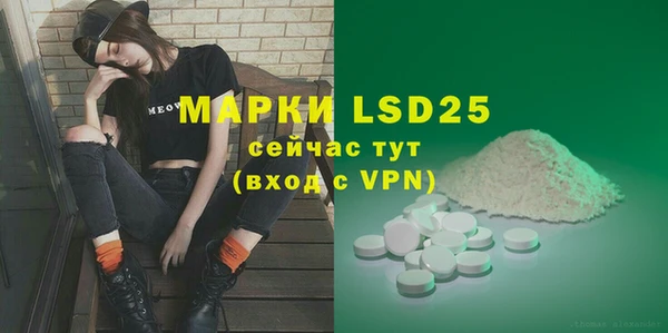 прущие грибы Абаза