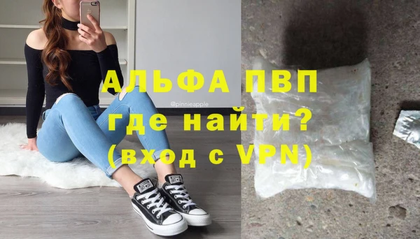 прущие грибы Абаза