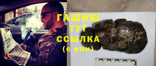 прущие грибы Абаза