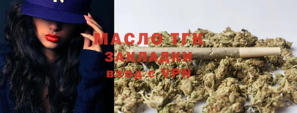 прущие грибы Абаза