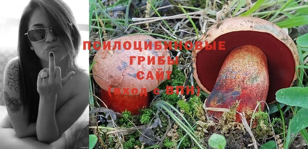 ПСИЛОЦИБИНОВЫЕ ГРИБЫ Абдулино